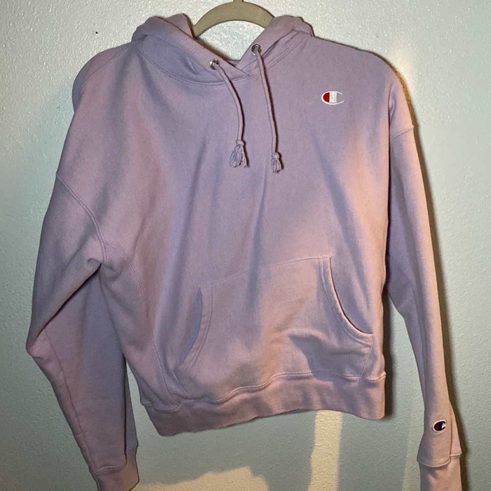 Champion hoodie brand new